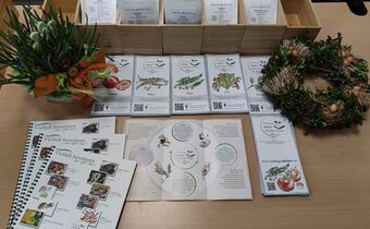 Wetzlarer „Saatgutbibliothek“ geht in das zweite Jahr